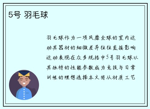 5号 羽毛球