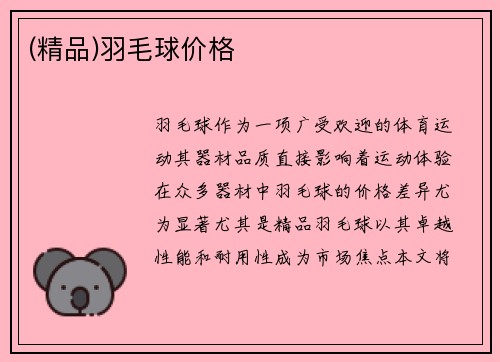 (精品)羽毛球价格